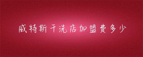 威特斯干洗店加盟投资解析 费用构成与创业前景全指南